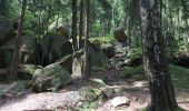 Trail On foot Olbersdorf - LG-Gelber Strich - Photo 4