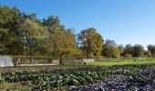 Tocht Te voet Brütten - Rundweg Winterthur - Photo 2