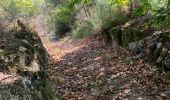 Trail Walking Saint-Martial - Saint Martial - Photo 3