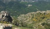 Randonnée Marche Rosis - Le sommet du Plo des Brus dans l'Espinouse - Photo 16