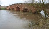 Excursión A pie Wychavon - Eckington Wharf Circular Walk - Photo 8