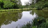 Tocht Stappen Münchweiler an der Rodalb - Pirmasens - Felsenwald - Photo 11