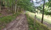 Tocht Stappen Sainte-Croix-aux-Mines - Le Hury par le Petit-Haut - Photo 5