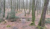 Trail Walking Camors - PR_56_Camors_BA_02_L-Eau_Circuit1b_20230218 - Photo 16