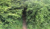 Tour Wandern Soucy - Petite promenade dans la forêt de SOUCY  - Photo 2