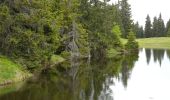 Percorso A piedi Feld am See - Wanderweg 180 Mirnock - Schwarzsee - Photo 3