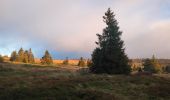 Randonnée Marche Orbey - Vallée des 5 lacs  - Photo 4