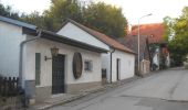 Percorso A piedi Gemeinde Wolkersdorf im Weinviertel - Wein- und Kulturwanderweg - Photo 2