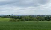 Trail Walking Montigny-le-Tilleul - Balade dominicale  - Photo 2