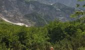 Percorso A piedi Kranjska Gora - Wikiloc Triglav Vrata Valley - Photo 6