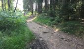 Tocht Mountainbike Malmedy - SityTrail - 2499656 - malmedy---carriexres-de-la-warche-et-fagnes - Photo 4