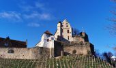 Tour Zu Fuß Alzenau - Kulturweg Alzenau 1 - Photo 5