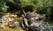 Excursión Senderismo Caramanico Terme - Valle dell'orfento - Photo 11