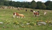 Randonnée Marche Pontarlier - boucle autour du mont taureau - Photo 1