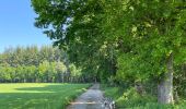 Trail Walking Neufchâteau - Tronquoy - Respelt - Photo 15