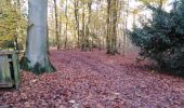 Randonnée Marche Esneux - Es eux rond de chêne  - Photo 4