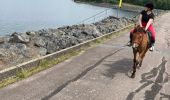 Trail Horseback riding Badonviller - tour du lac Abby Joyeux Tiboy - Photo 3