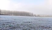 Tocht Stappen Borgloon - Promenade vers l'Aeneas Wilder  - Photo 13