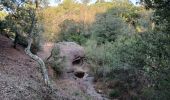 Tocht Stappen Roquebrune-sur-Argens - La Bouverie - Photo 2