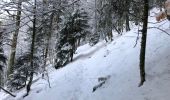 Randonnée Marche Ventron - Ventron col du colet  - Photo 5