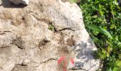 Tour Wandern Voreppe - le trou au loup  - Photo 11