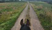 Trail Equestrian Porcelette - Wikiloc - Porcelette - Grotte des russes - Photo 12