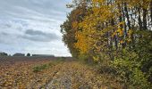 Trail Nordic walking Blegny - Petit tour découverte de Cerexhe-heuseu - Photo 5