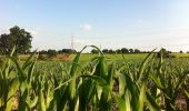 Percorso A piedi North Warwickshire - ACW Circular Walk 16 - Photo 2