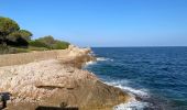 Tocht Stappen Antibes - Littoral du cap d’Antibes  - Photo 15