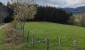 Tour Wandern Chausseterre - Randonnée au dessus de Chausseterre en passant par le col de St Thomas  - Photo 8