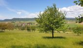 Trail Walking Dossenheim-sur-Zinsel - Le Bastberg depuis Dossenheim-sur-Zinsel - Photo 8
