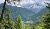 Tour Wandern Vallorcine - Vallorcine  - Photo 18