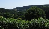 Randonnée A pied Stavelot - 11. Promenade du Faisan - Photo 4