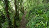 Trail Walking Lalinde - Sauveboeuf 14,4km - Photo 3