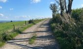 Trail Walking Büllingen - Essai Émile - Photo 1