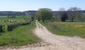 Randonnée Marche Theux - St Roch . Spixhe . Jevoumont . Hodbomont . vallee Wayot . Theux . St Roch - Photo 13