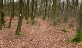 Trail Horseback riding Bastogne - Livarchamps - Photo 1