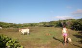 Randonnée Marche Anse-Bertrand - Trou du Souffleur - Trou de Madame Coco - Photo 1