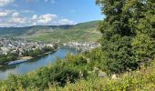 Tocht Stappen Bernkastel-Kues - Bernkastel 13 km - Photo 1