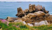 Tour Wandern Saint-Martin-des-Champs - Bretagne Nord J4 De Morlaix à Plougasnou - Photo 4