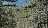 Trail Walking Die - Col de Bergu  - Photo 10