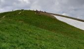 Excursión Senderismo La Chapelle-d'Abondance - CORNETTES DE BISE: LAC DE DARBON - Photo 9