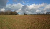 Tour Wandern Houppeville - 20220120-Houppeville - Photo 13