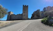 Tour Wandern Hyères - Chateau Saint Bernard - Photo 14