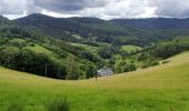 Tour Wandern Markirch - 2020-06-20 Marche Tete du Violu Col de Ste Marie - Photo 3