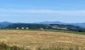 Excursión Senderismo Blanzac - Rachat - Chapelle de Chassaleuil - Photo 13