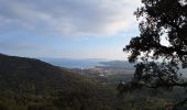 Trail Road bike Le Lavandou - bormes col canadel bormes - Photo 3