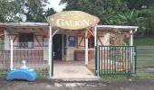 Tocht Stappen Le Robert - Pointe Savane - Plage du Raisiinier - Photo 10