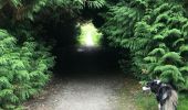 Tour Wandern Anhée - Boucle Anhée - poilvache - les roches yvoir - Photo 1