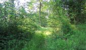 Trail Walking Villers-Cotterêts - en forêt de Retz_85_le Buisson de la Queue d'Ham - Photo 16